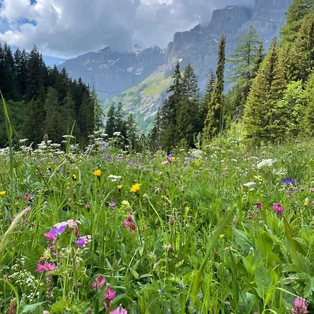 Ideally Located 3.5 Flat