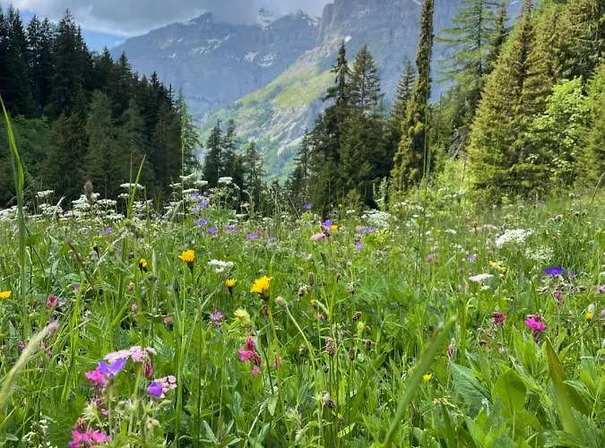 Ideally Located 3.5 Flat