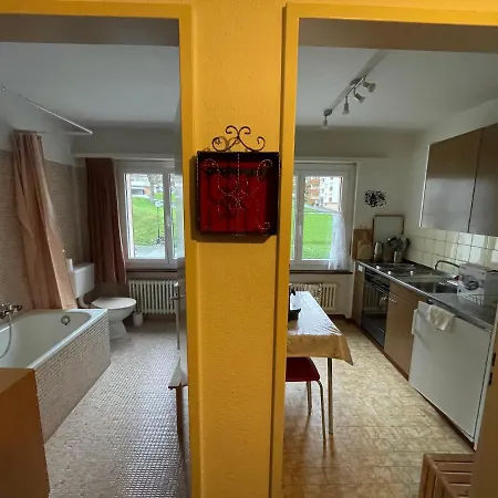 Ideally Located 3.5 Flat Апартаменты Лойкербад
